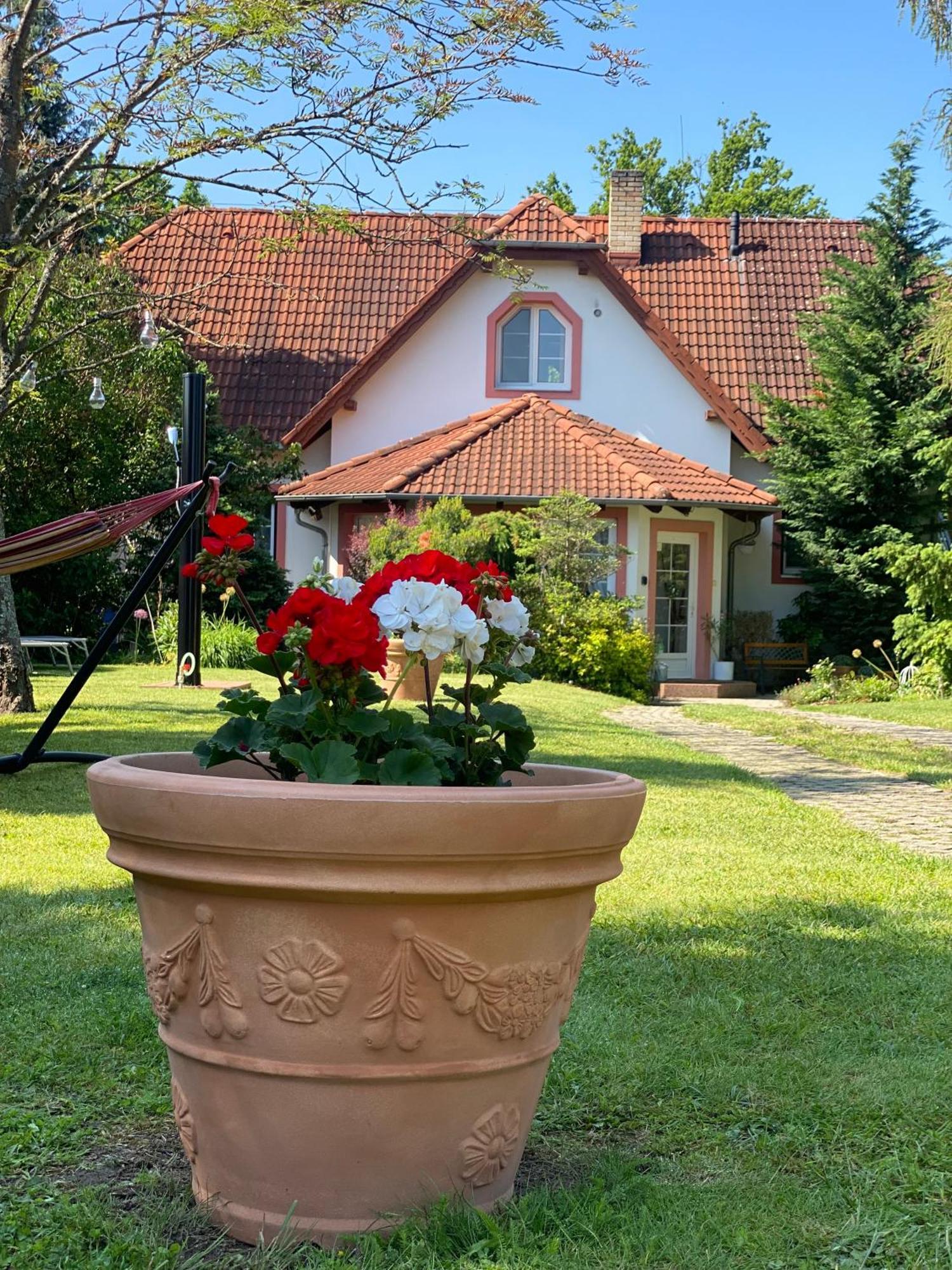 Vila Evio Třeboň Buitenkant foto